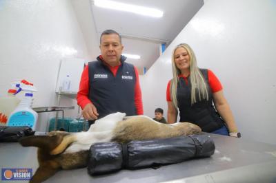 Mano a Mano cumple 15 años de llevar bienestar a miles de familias en Morelia