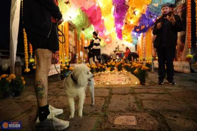 Gobierno de Morelia honra a los animalitos que dejaron huella en el corazón